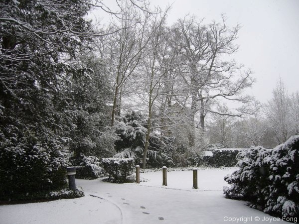 A White Easter - Photo 2