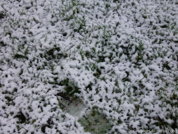 A White Easter - Photo 7