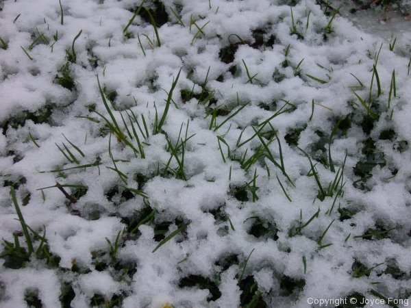 A White Easter - Photo 8